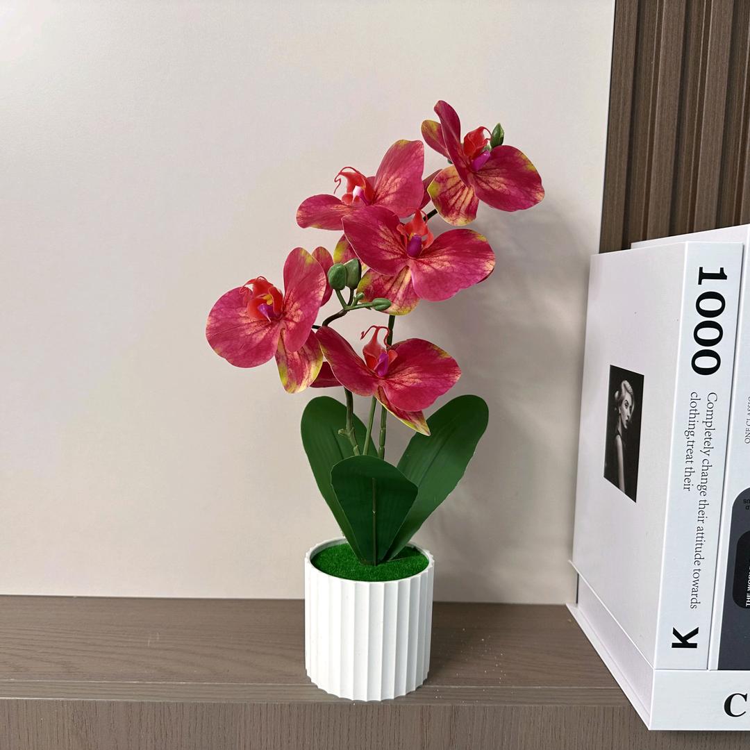 《顺其自然》❤️