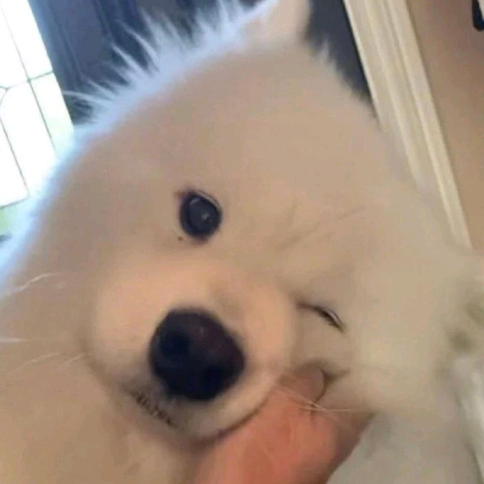 yuuuuu🐟
