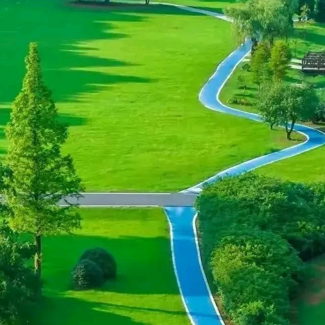 黄荒之源