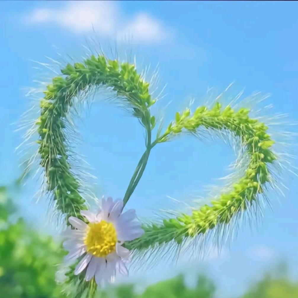 ᥫᩣᮨ໌້༚꯭简单༚°🥀ᩚ༣