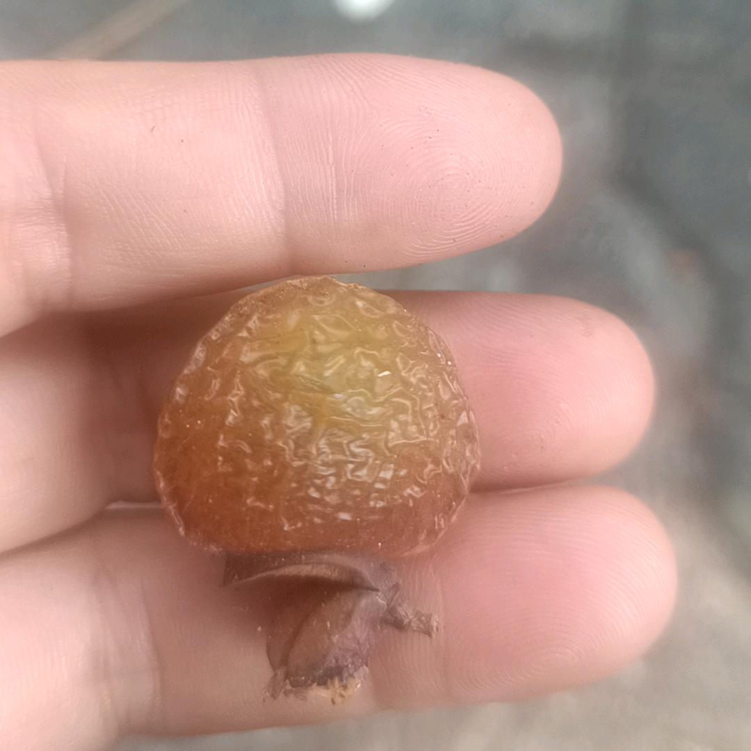 💗᭄㜂💞⃨孞ꦿ⁵²⁰