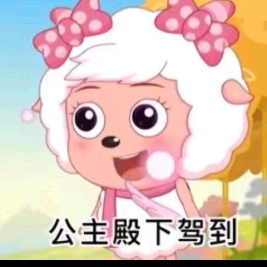 小美🐏