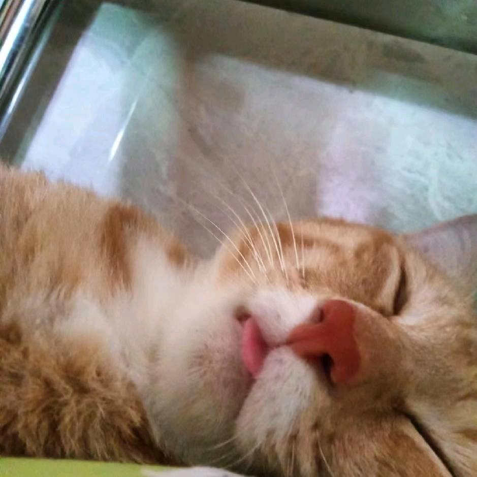 奥特不曼