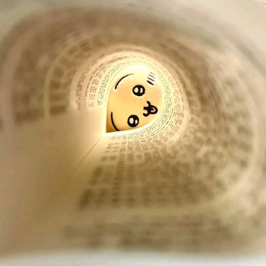 一段年华
