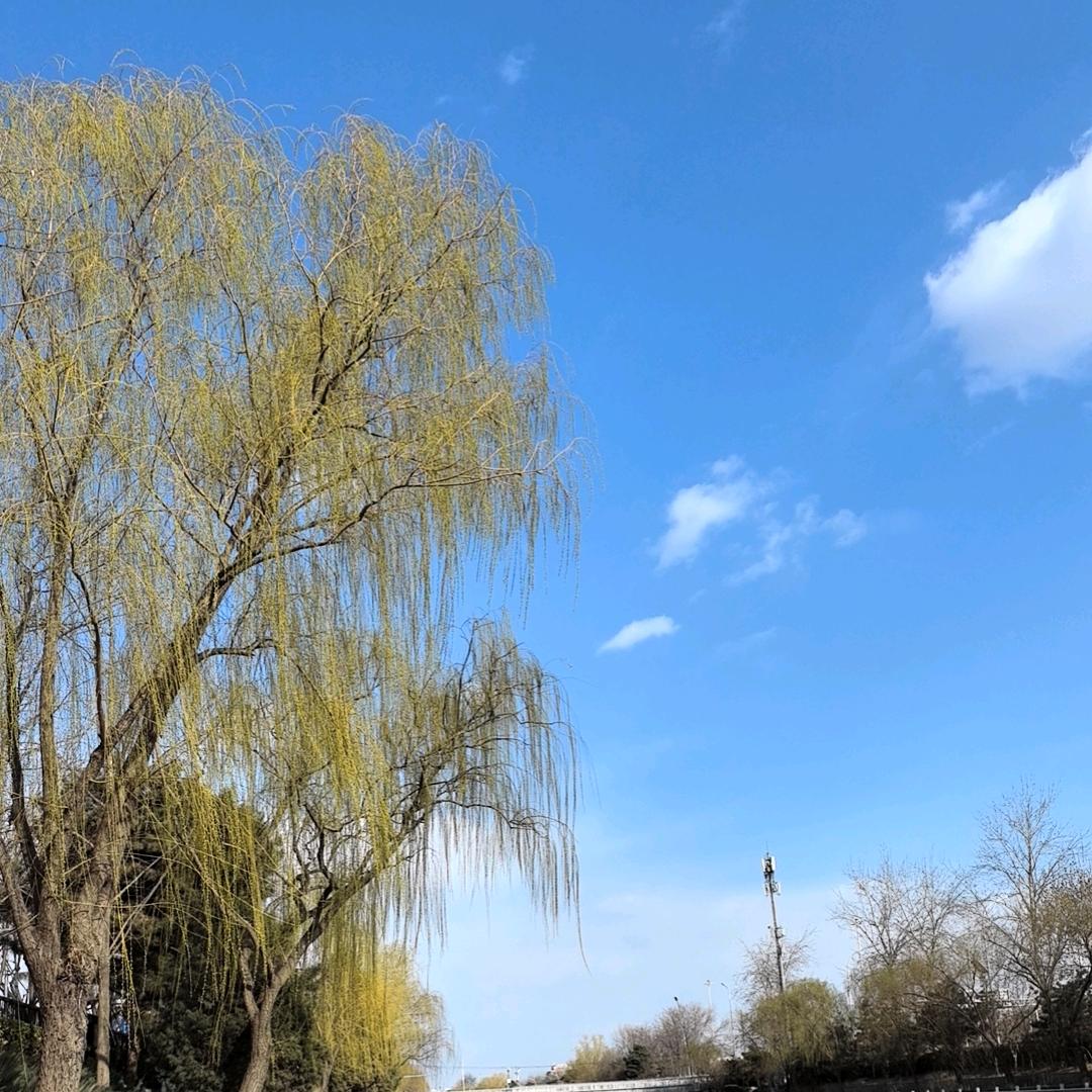 蓝静儿（继予）