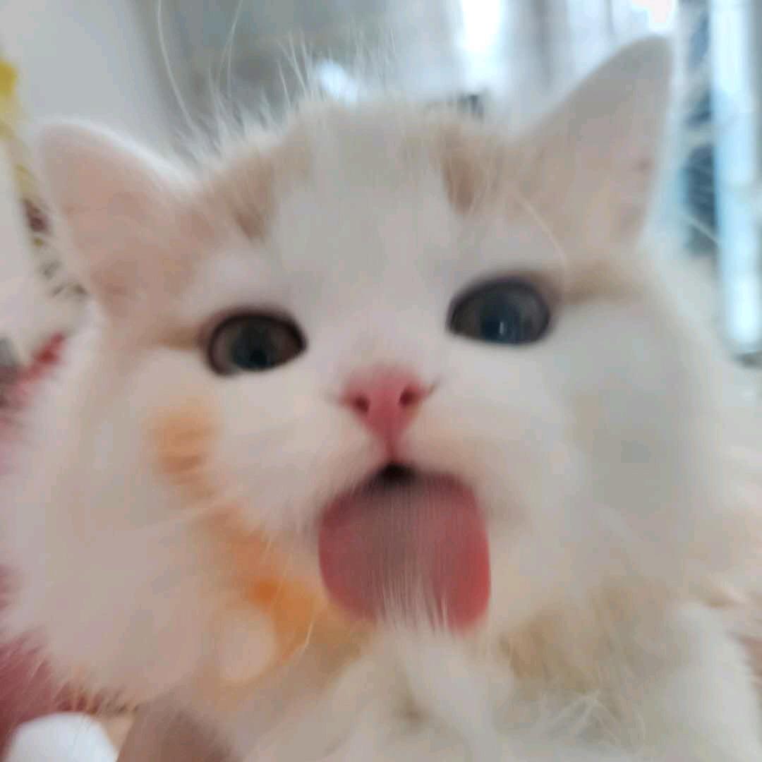 金不换笔记