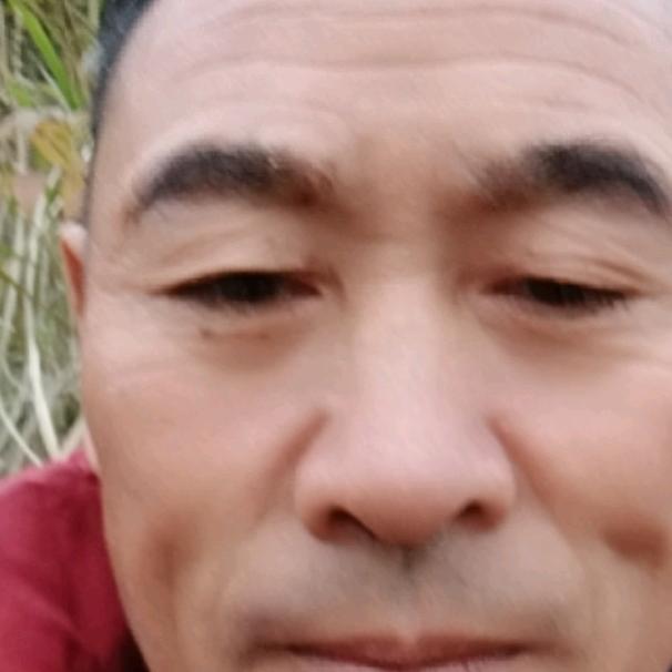 农村哥