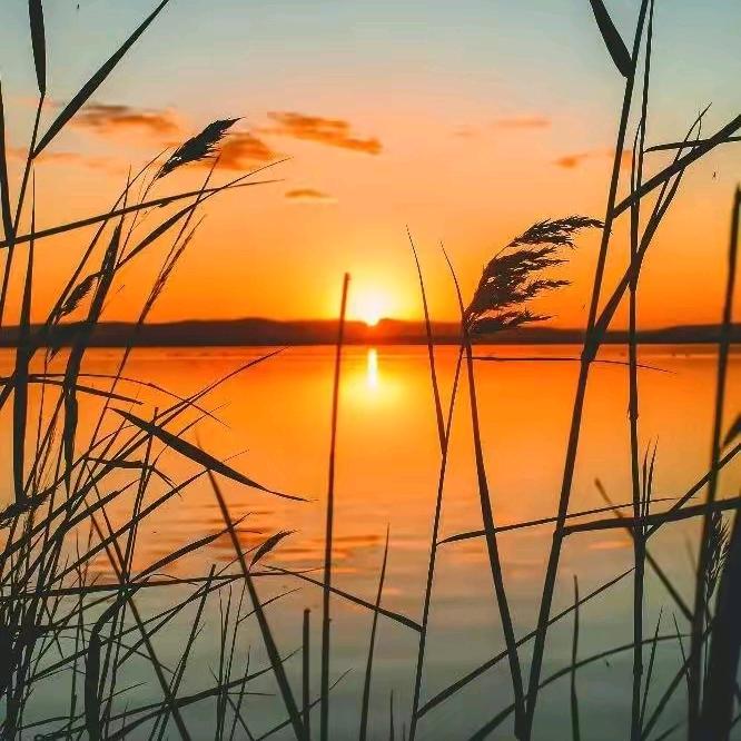 站在饮冰室门口