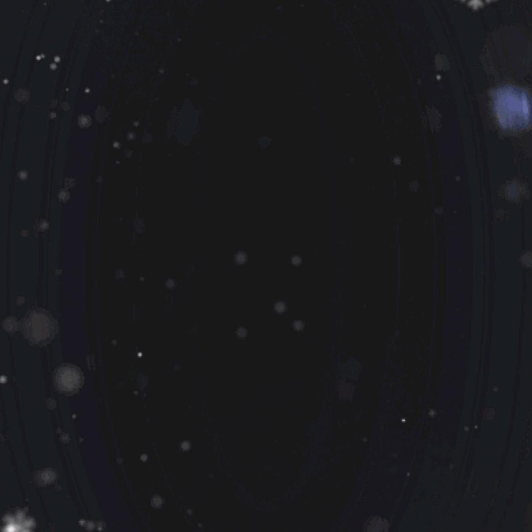 欣欣首播