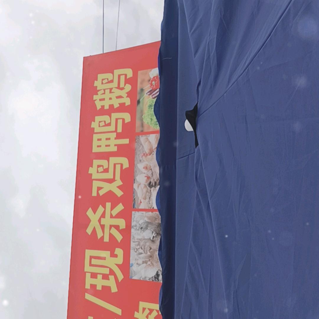 湘西平头哥