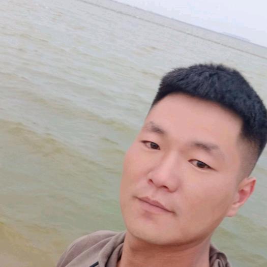 神马都是浮云
