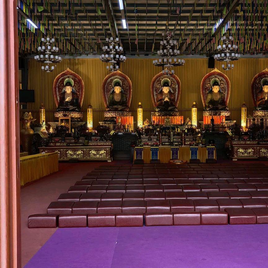 小陆大象永远是学徒