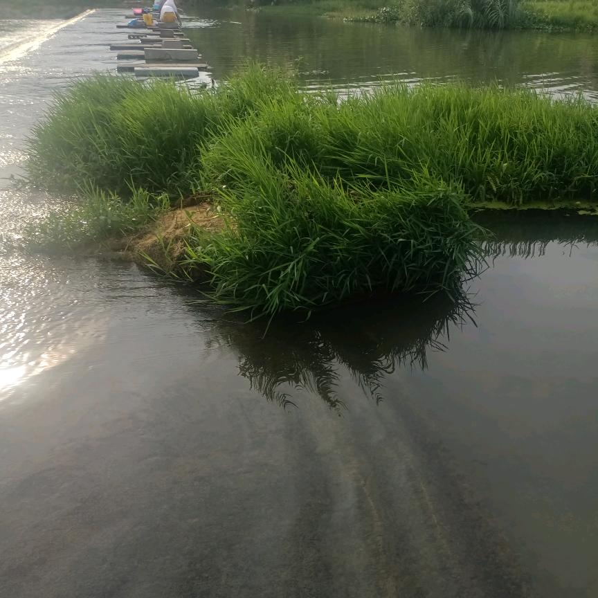 小号