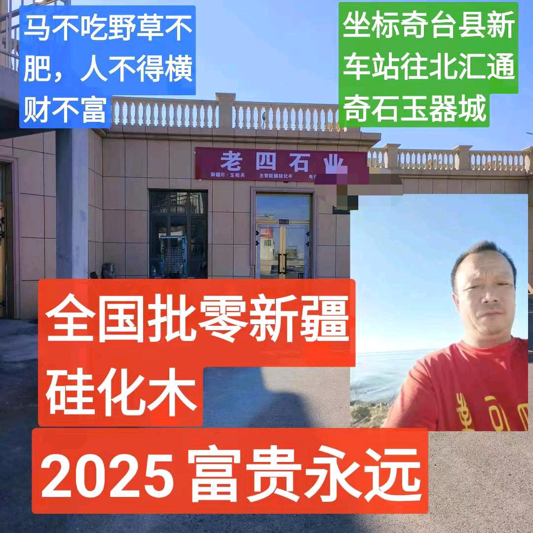老四石业（硅化木）