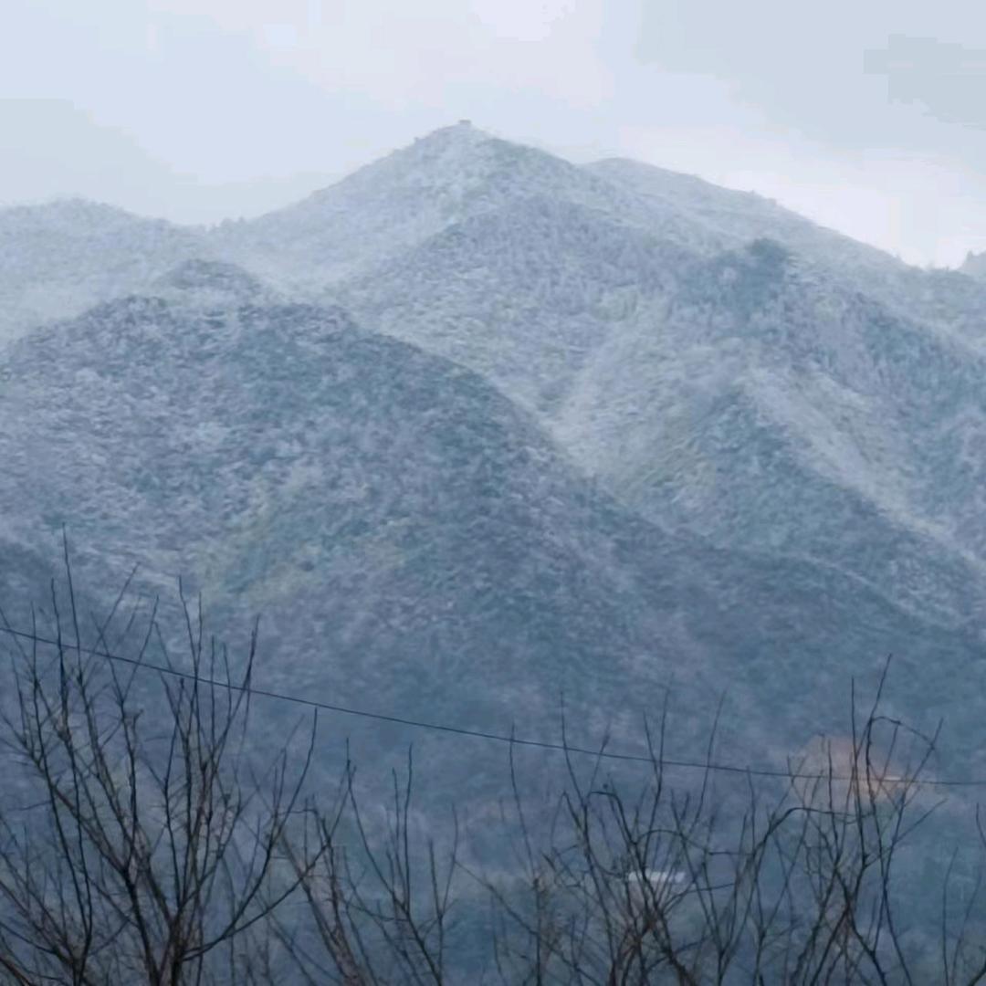 勇夺