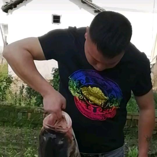 啊牛哥