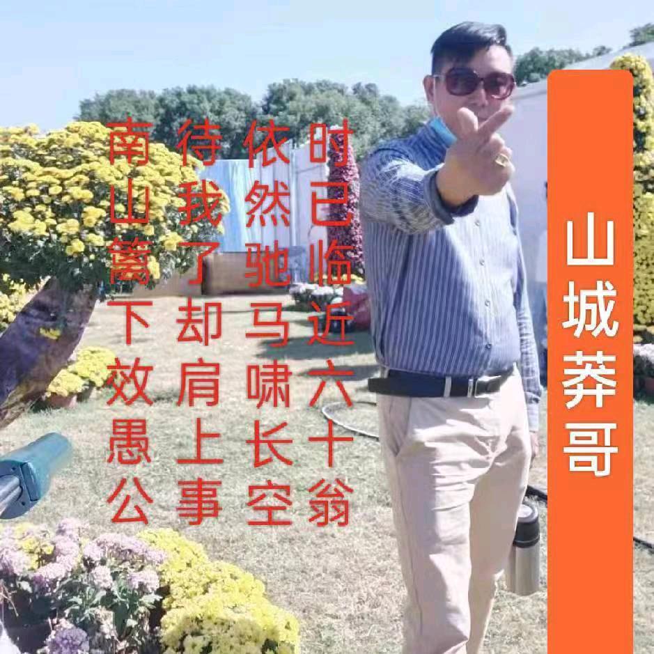 山城野狼（小号）