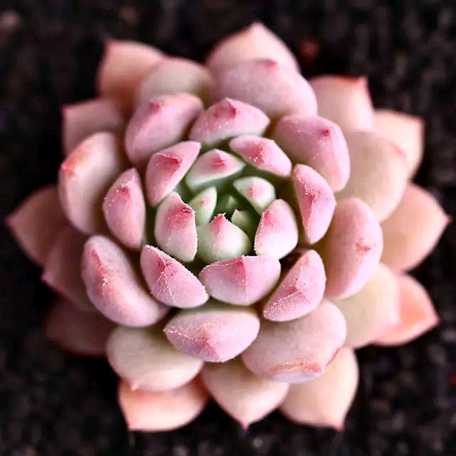 云南昆明不晚花舍
