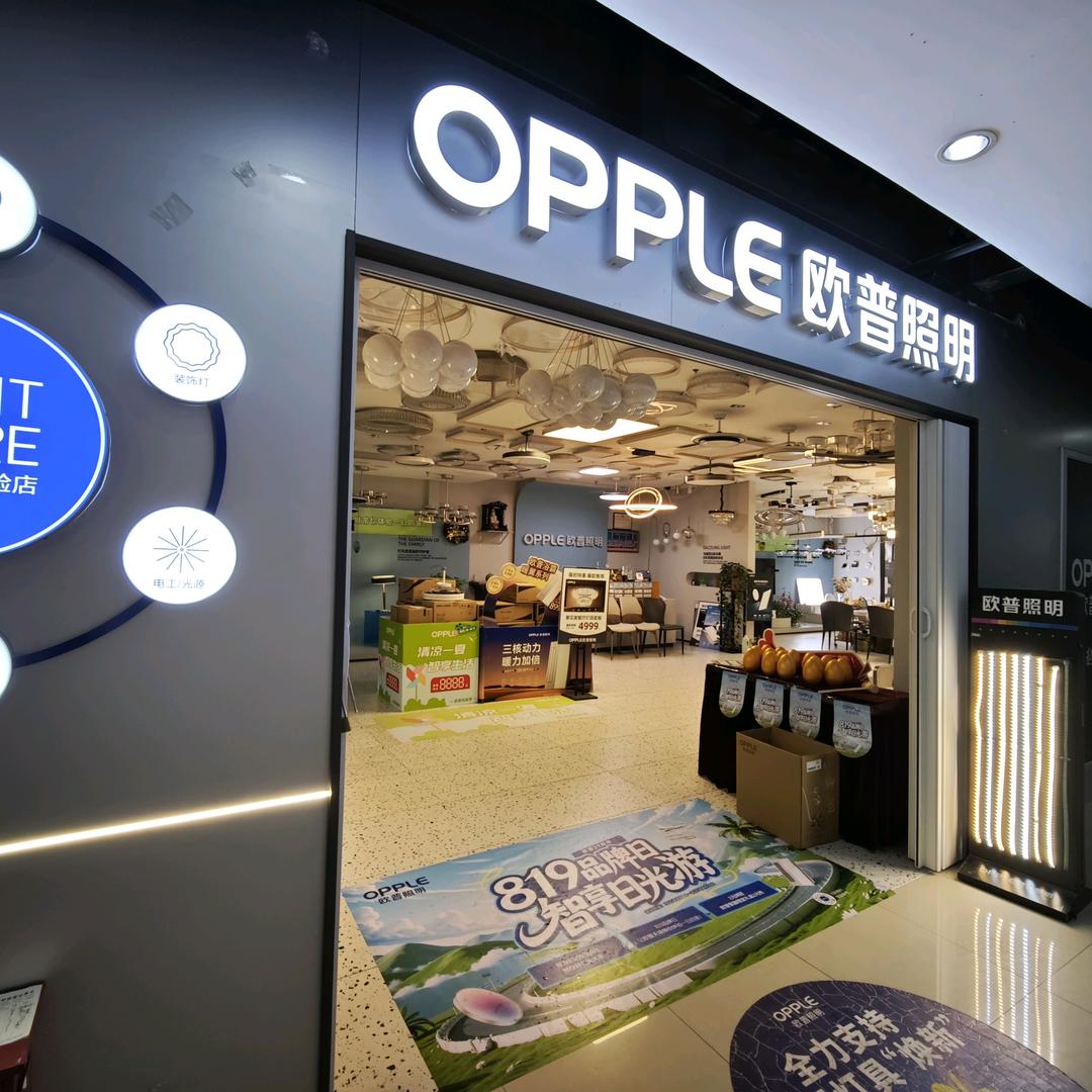 OPPLE欧普照明(鑫桥店)