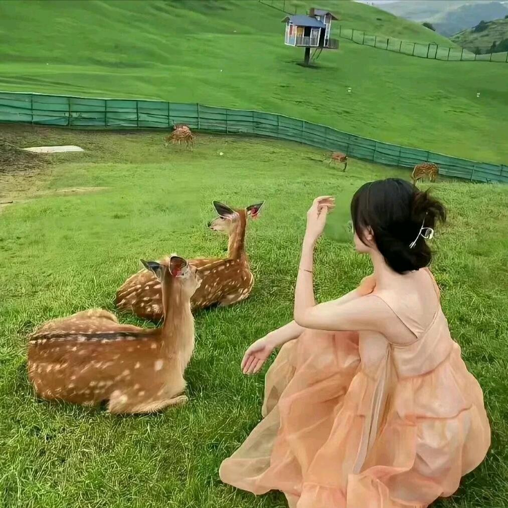 冉冉许的什么愿