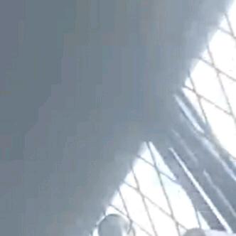 花茶姐