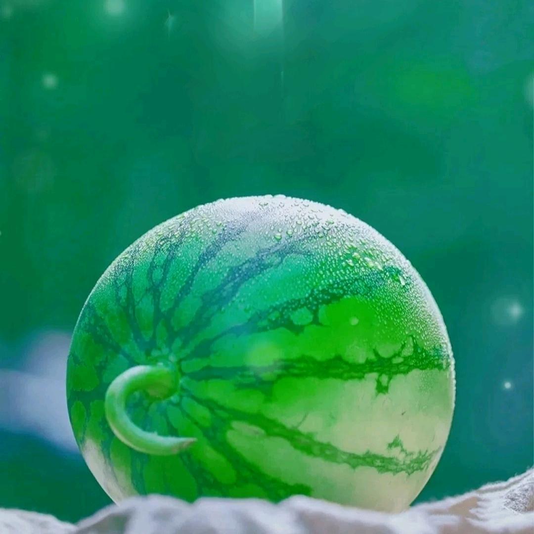 西瓜太浪🍉