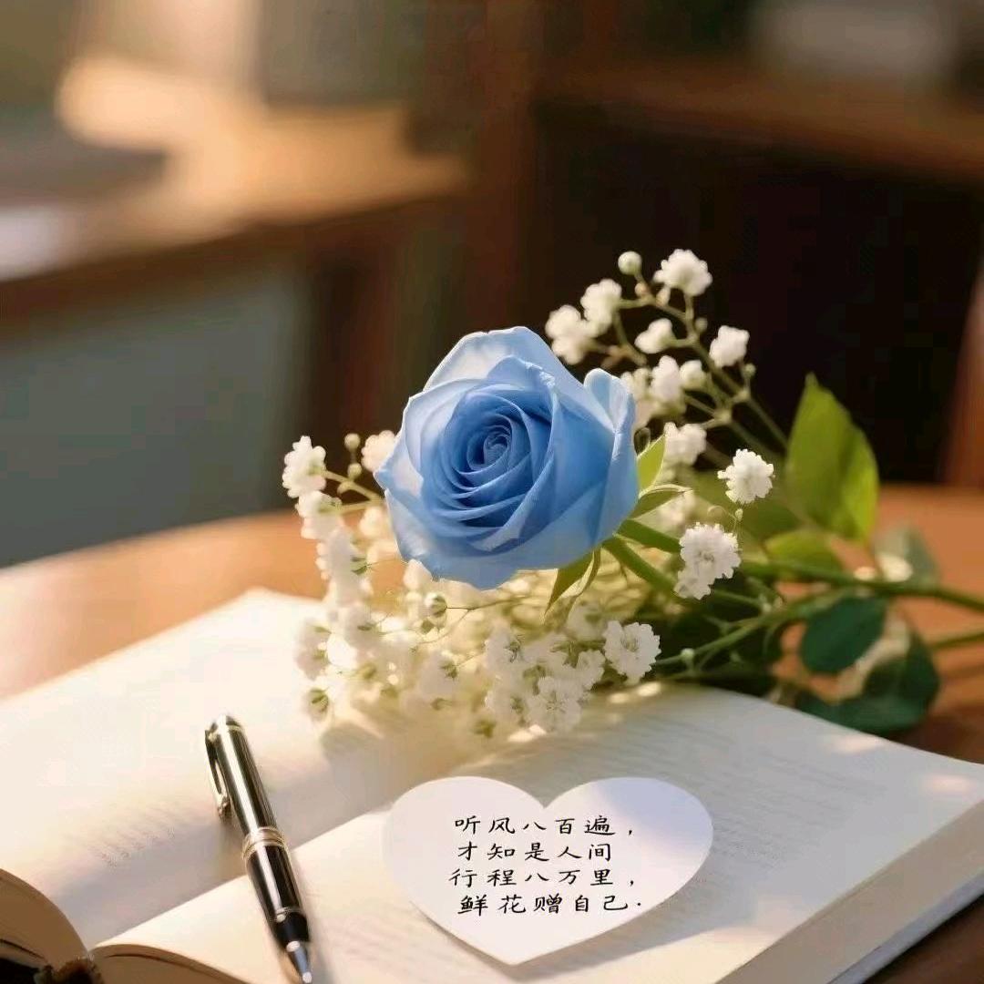 🧚‍♀️一念🧚‍♀️