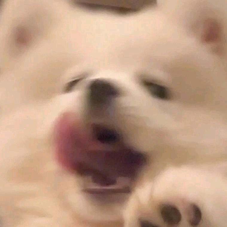 今天也要快乐