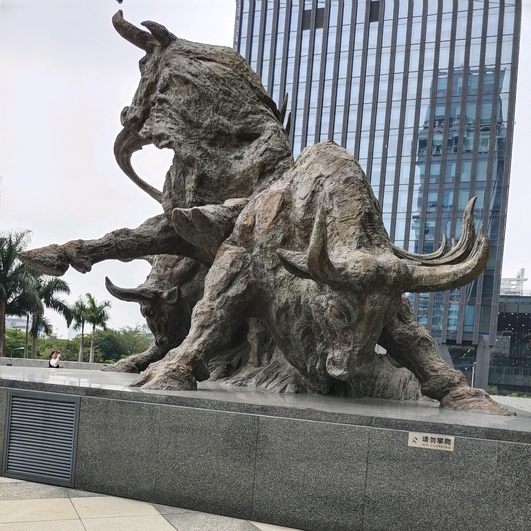 西南雄鹰
