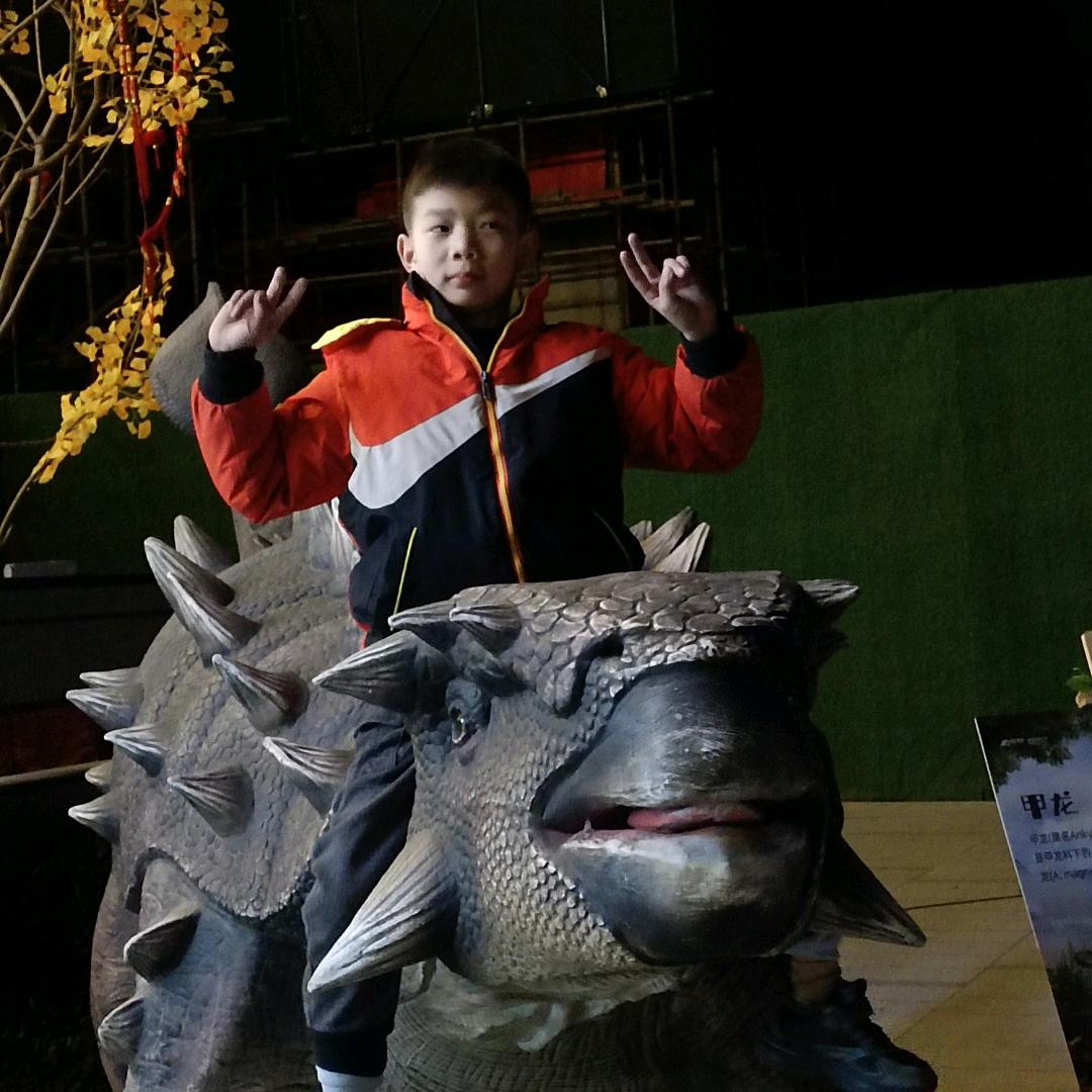 用户7458543059815张