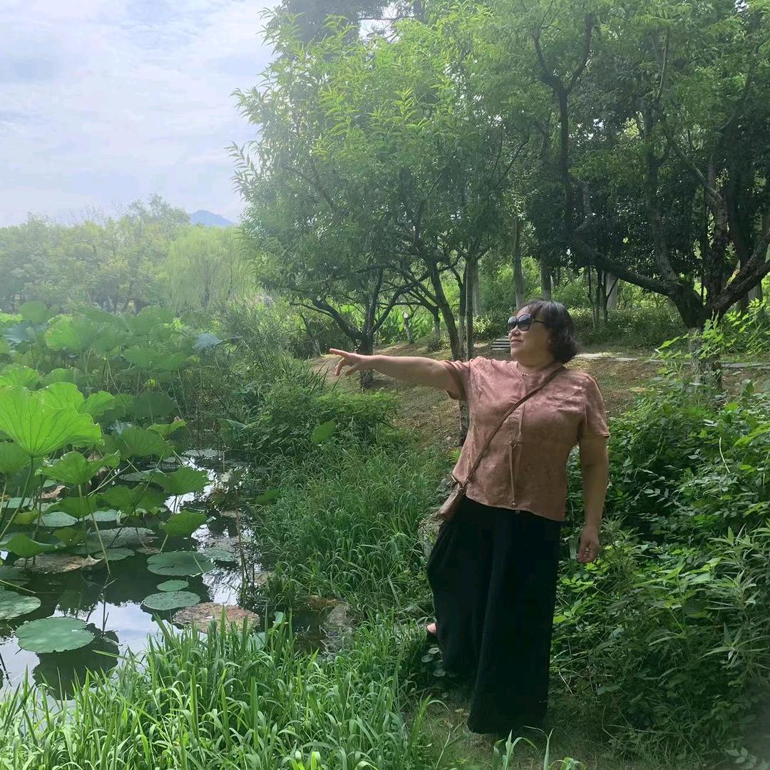 云淡风轻w