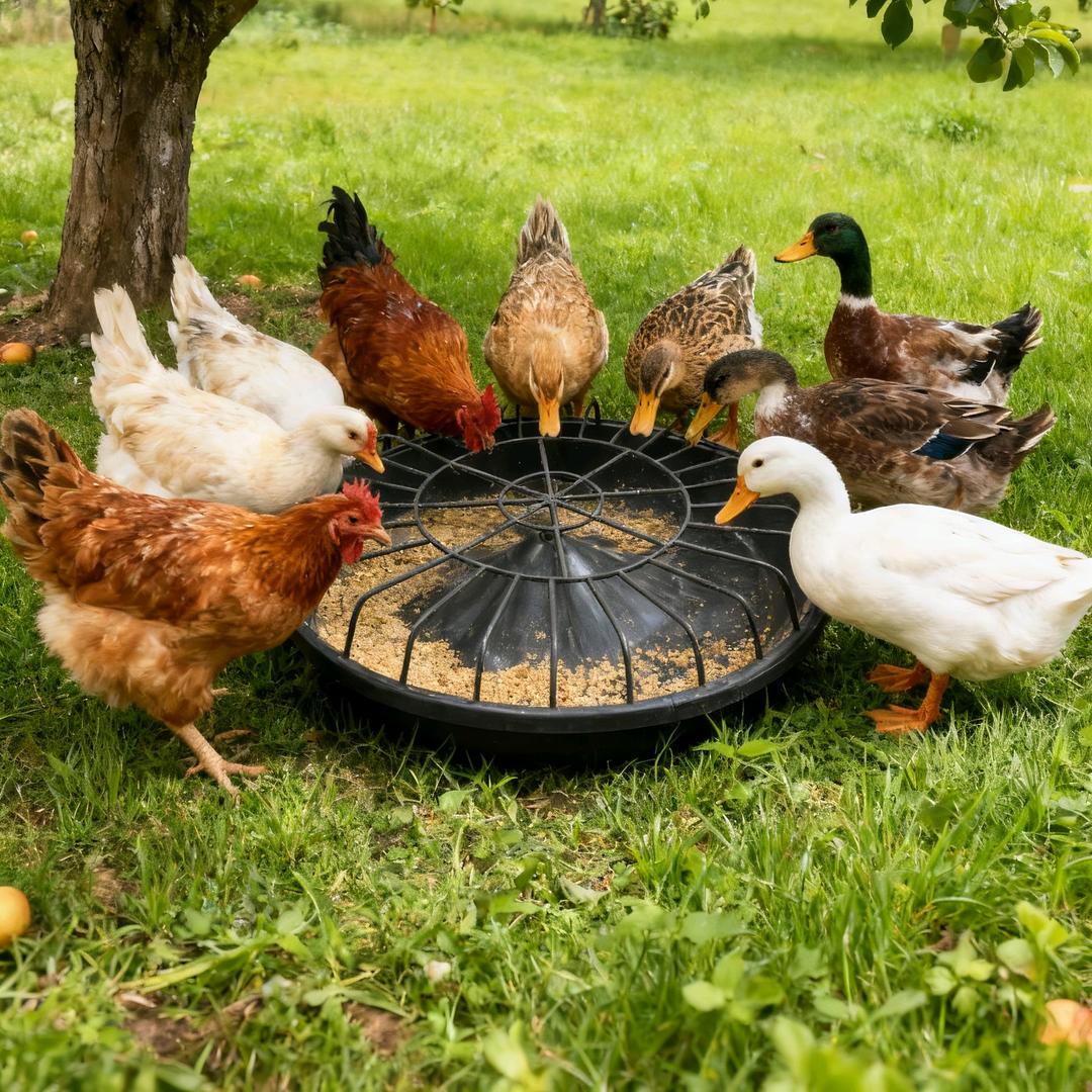 河南万兴畜牧养殖设备