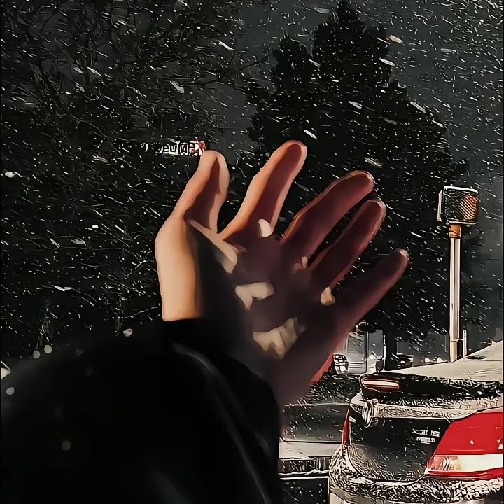 “ 柒  贰  壹 ”