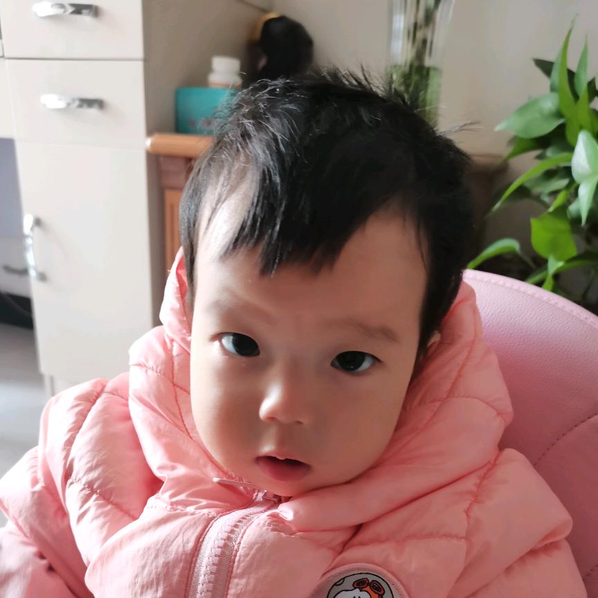 心月相随