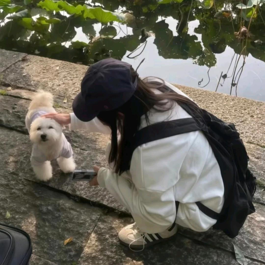 艽.