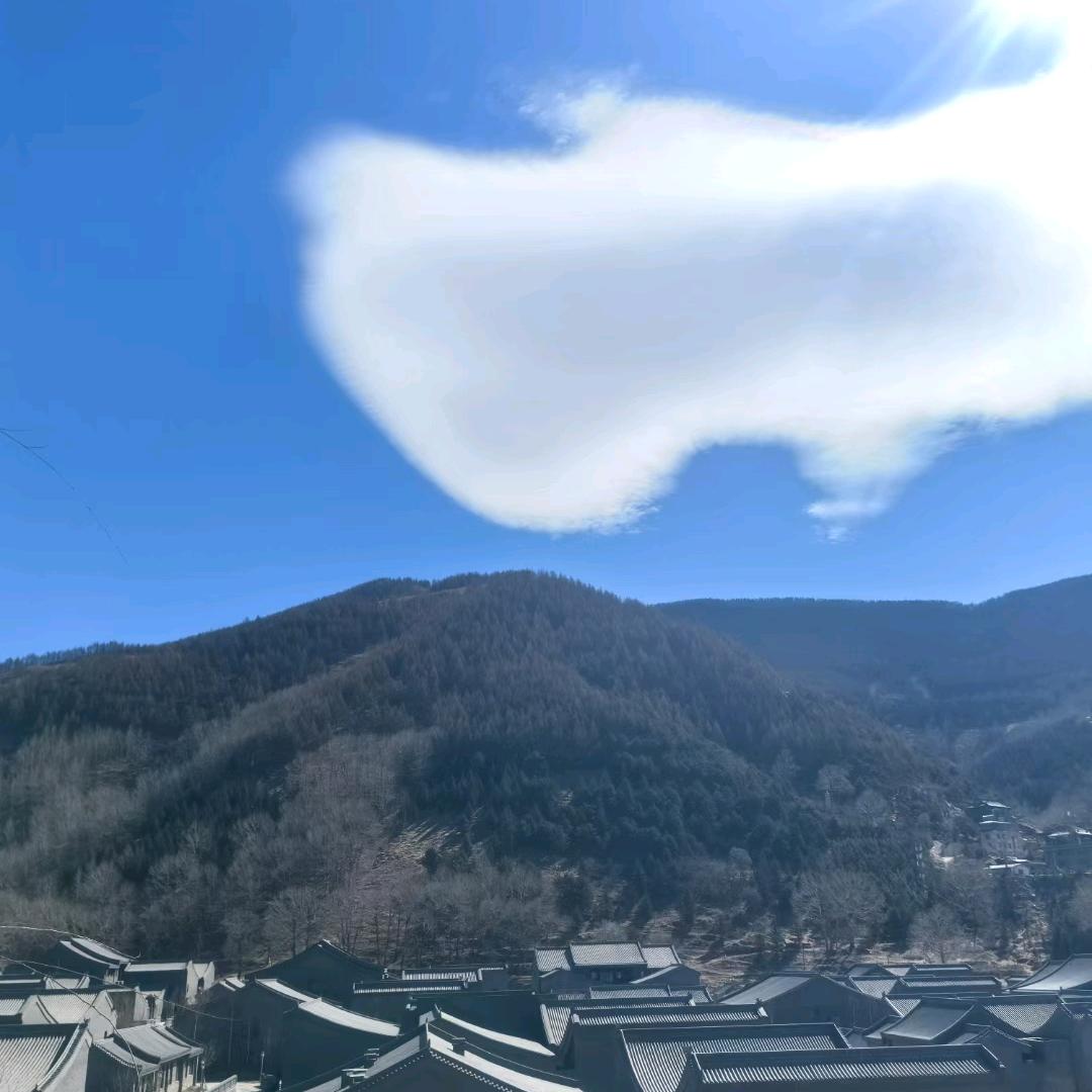 醉南山