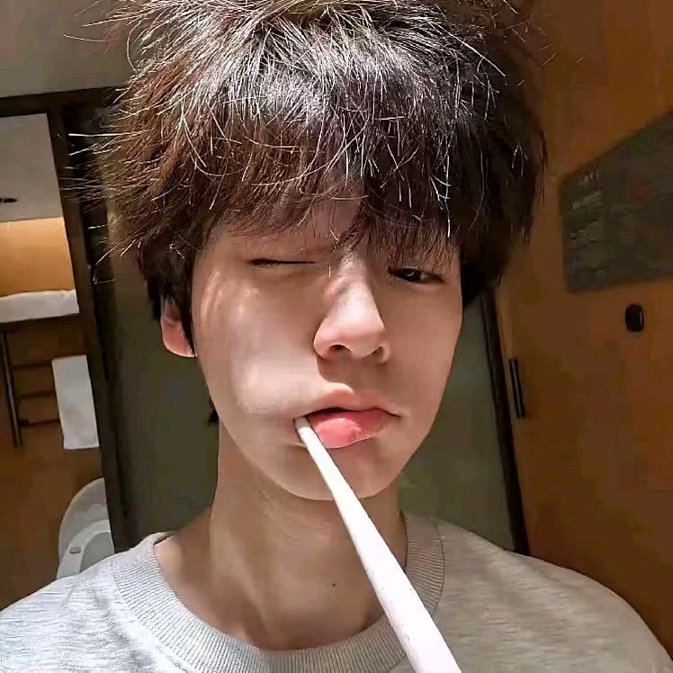 小枫