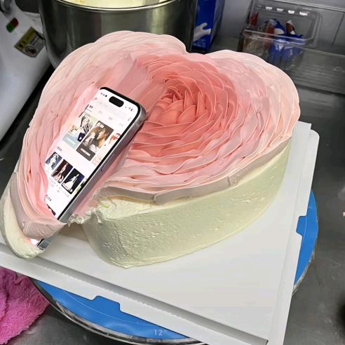 🍰陈大姨🍰(带学员)