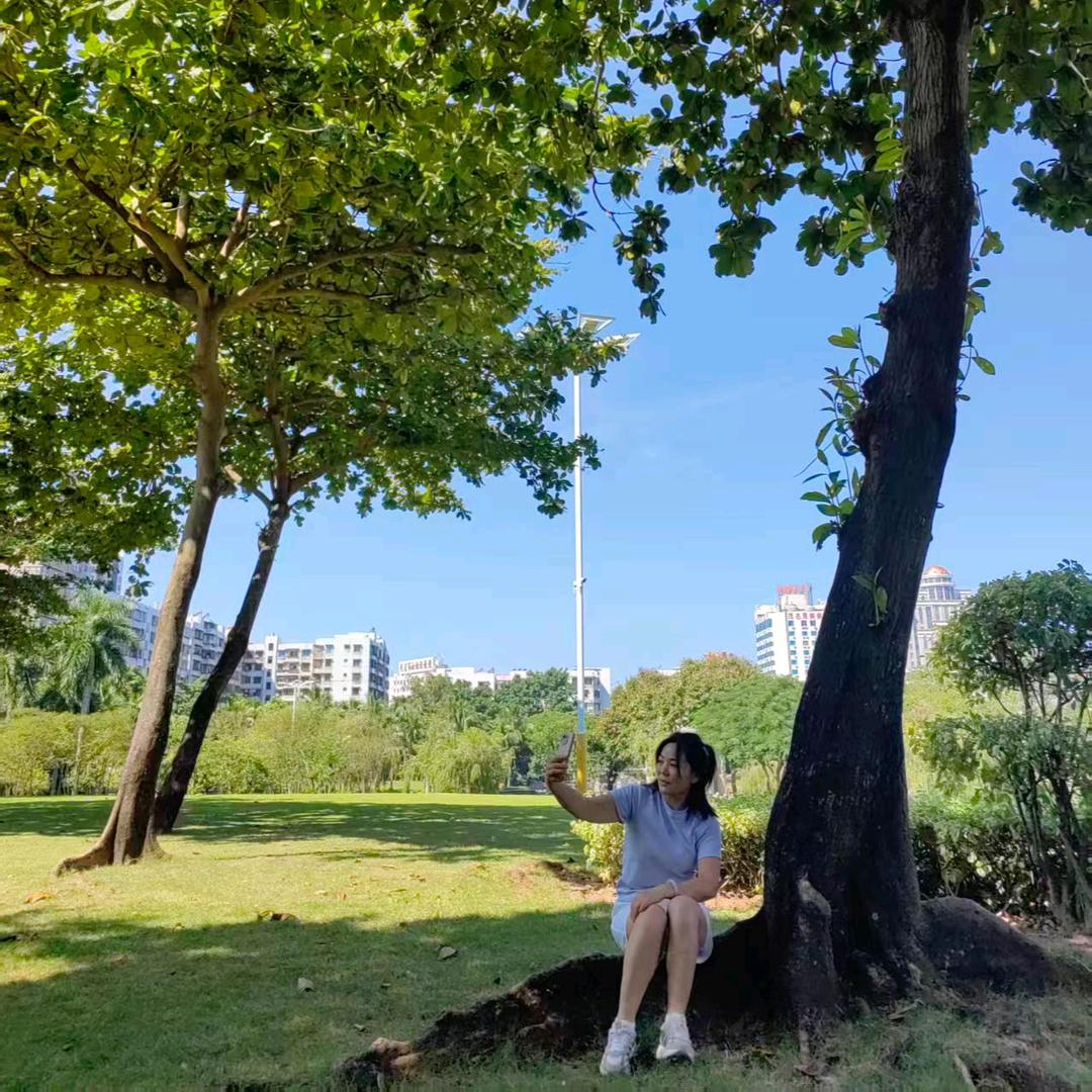 🍀春天的梦