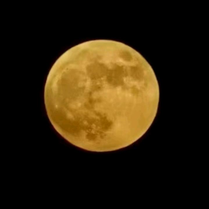 随性安稳（小说分享）