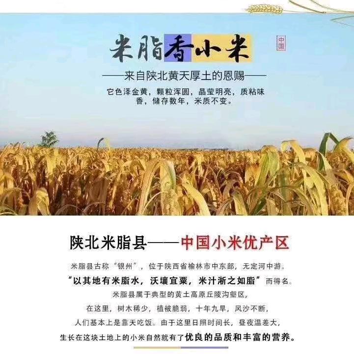《大陕北》