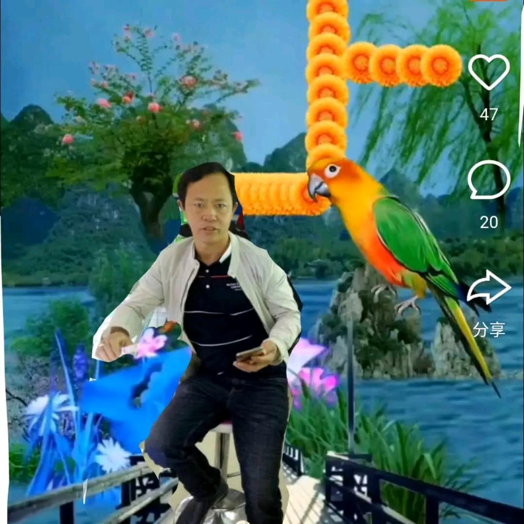 寻找真爱