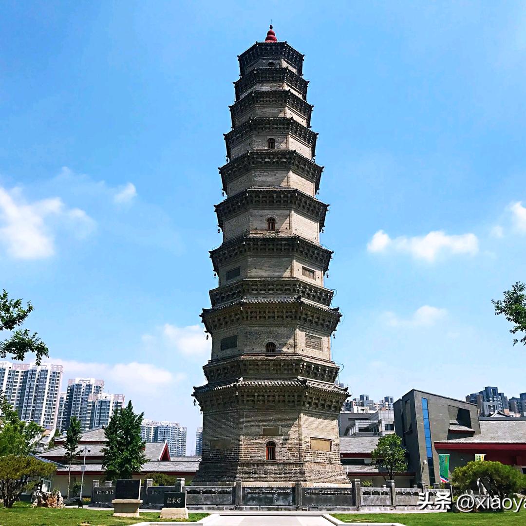 张聊教育规划