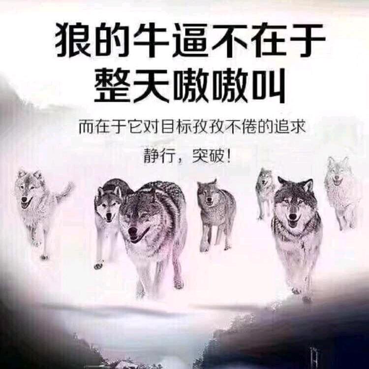倔驴