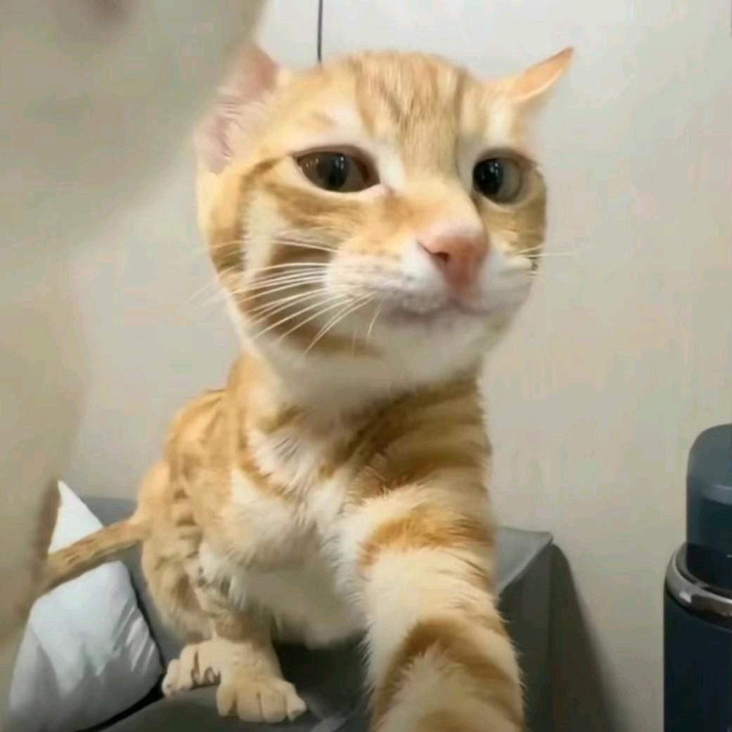 罗曼蒂克