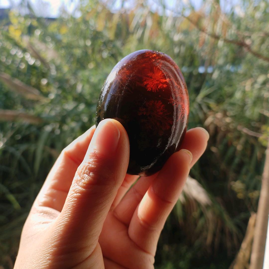 代表月亮陈法你