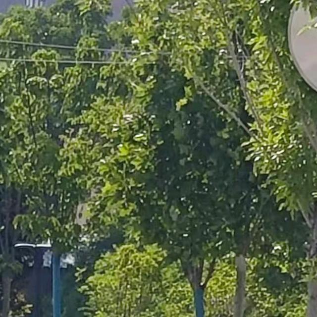 沉默