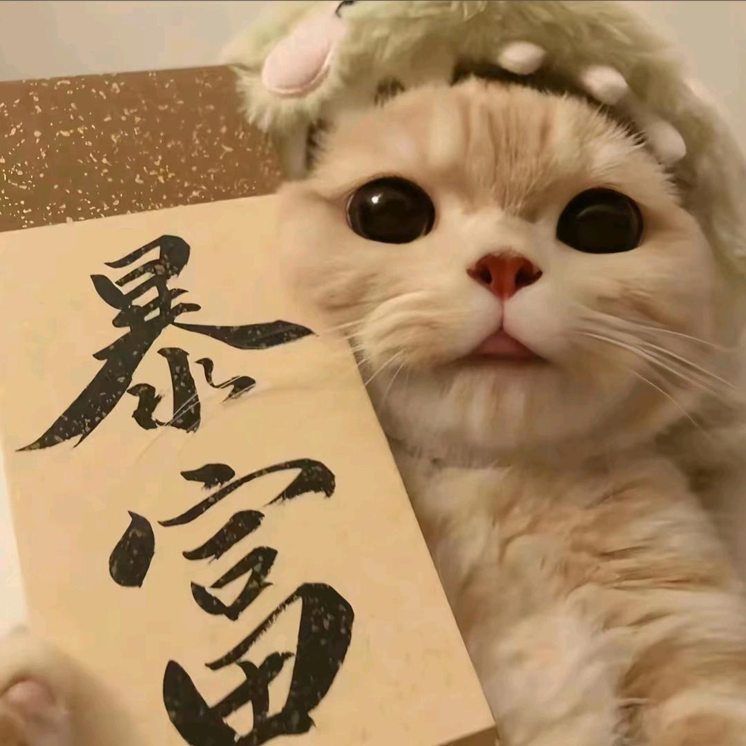 派大星鹏鹏