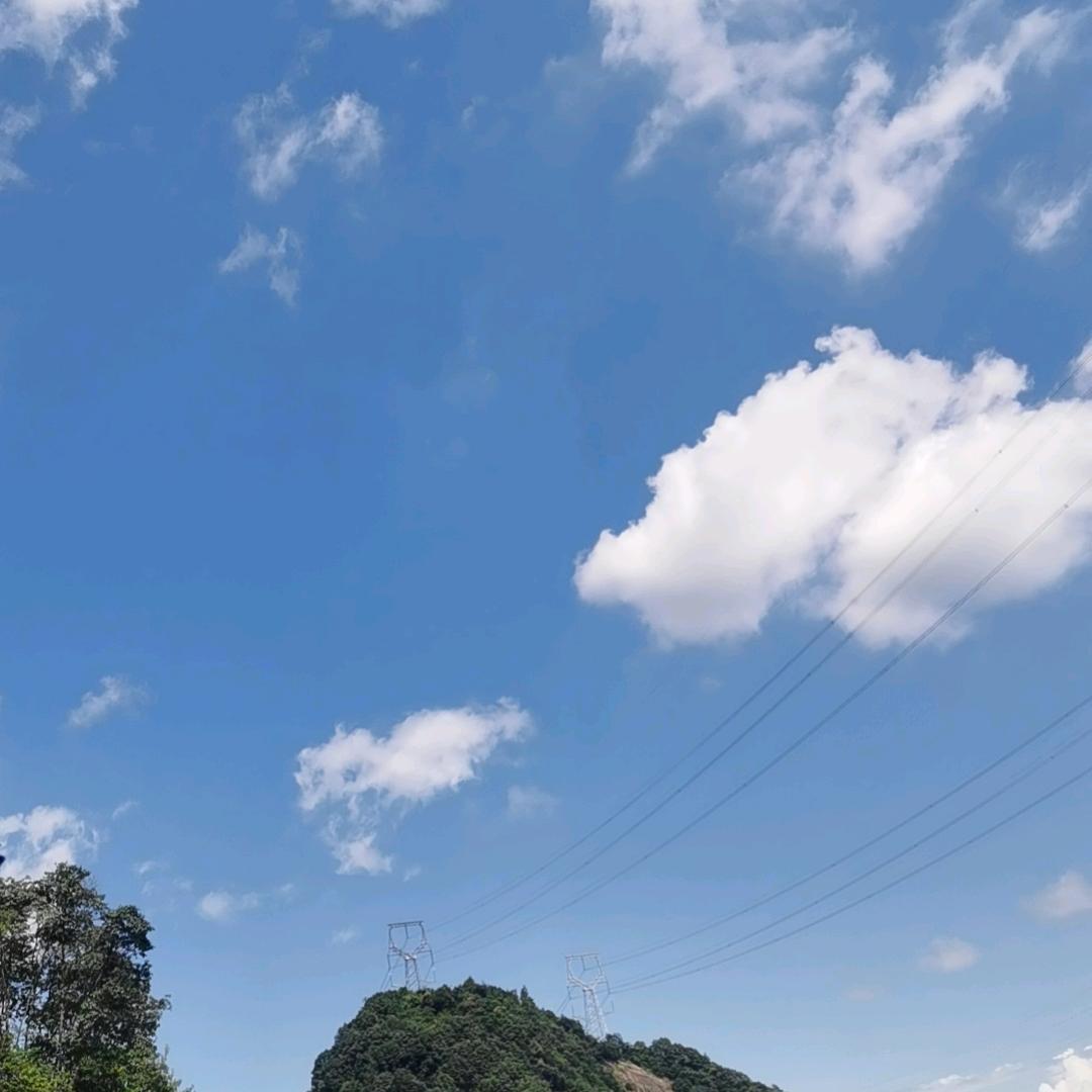 力天