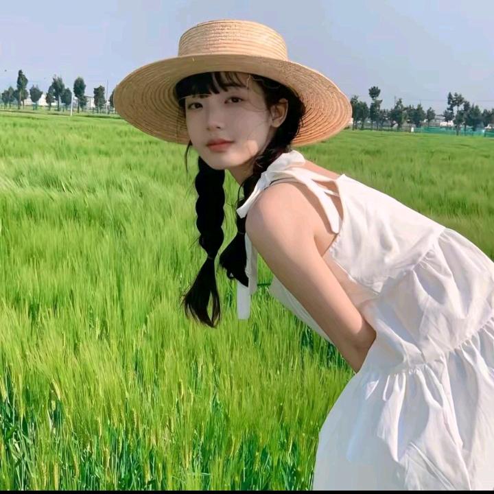 向阳而上